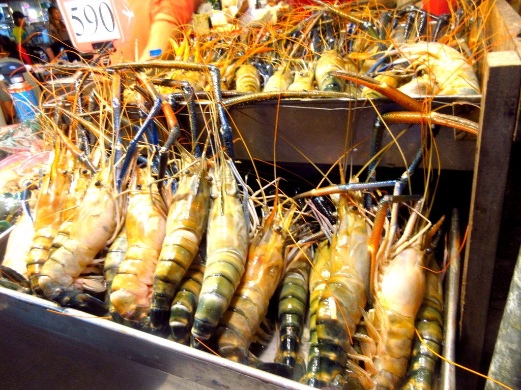 タイのオオテナガエビ